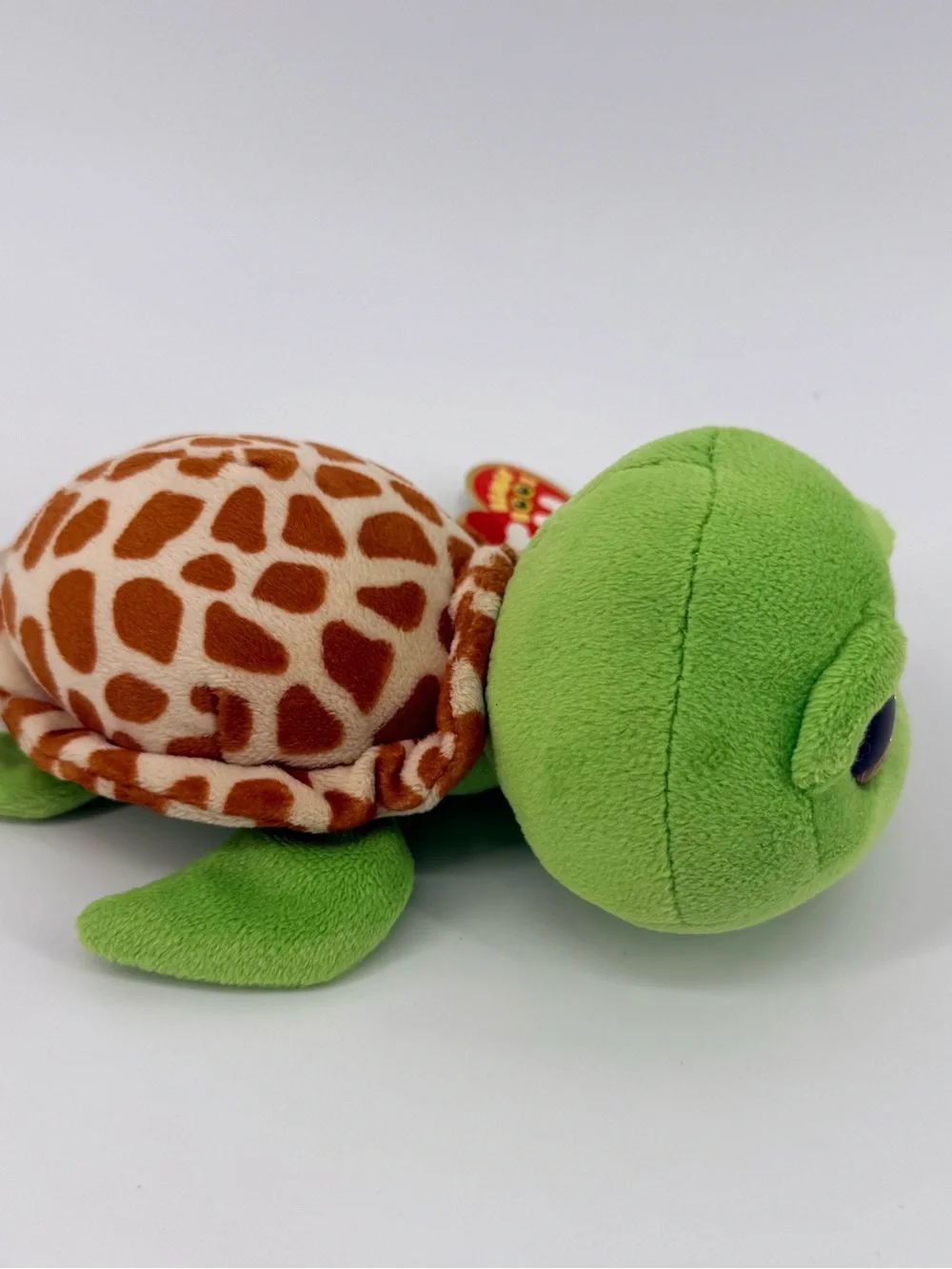Ty Beanie Boo Zippy the Turtle